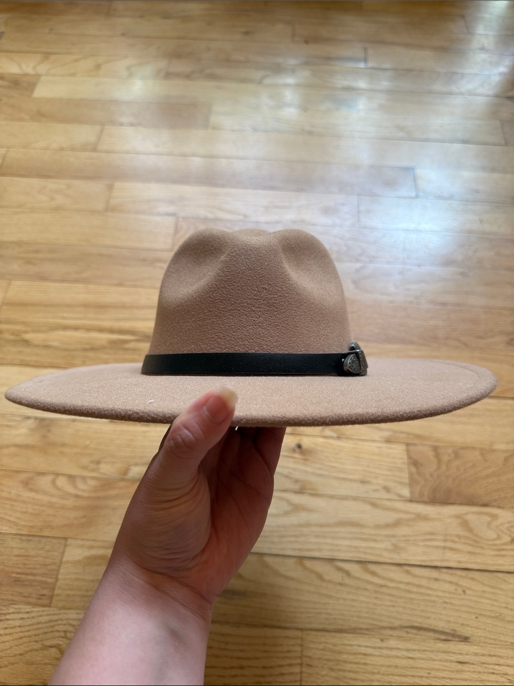 Wide-Brim Felt Fedora Hat in Beige with Black Band
